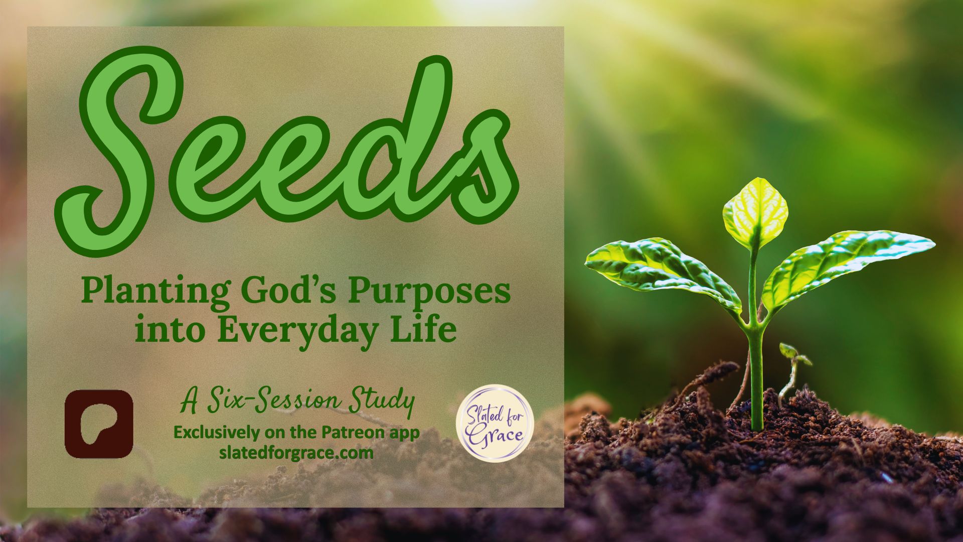 Our newest series begins January 8th!